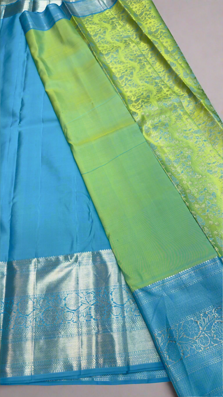 Handloom Kanchi Silk Saree with Silver Zari Double Warp in Green for Women