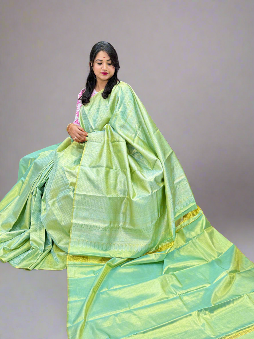 Handloom Borderless Pure Silk Saree in Sea Green with Zari Weaving – Elegant Bridal Saree