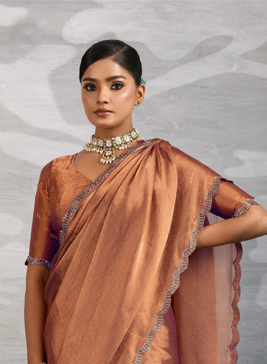 Burberry Chiffon Saree with Zarkan and Cutdana Appliqué Lace Work – Designer Party Wear Saree for Women