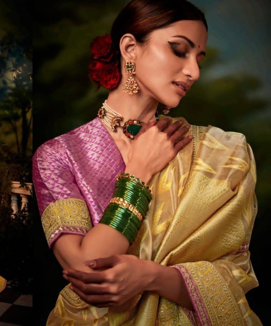 brasso saree with embroidered blouse – festive ethnic wear for women