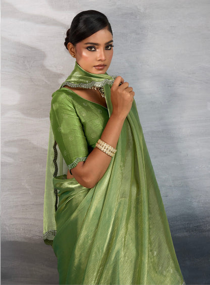 Burberry Chiffon Saree with Zarkan and Cutdana Appliqué Lace Work – Designer Party Wear Saree for Women