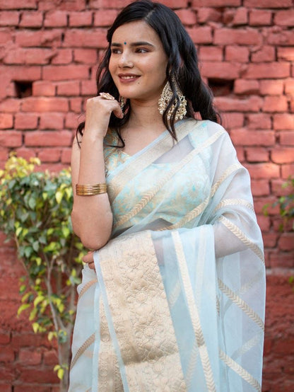 Kanchipuram Organza Jacquard Full Worked Saree with Raw Silk Organza Running Blouse