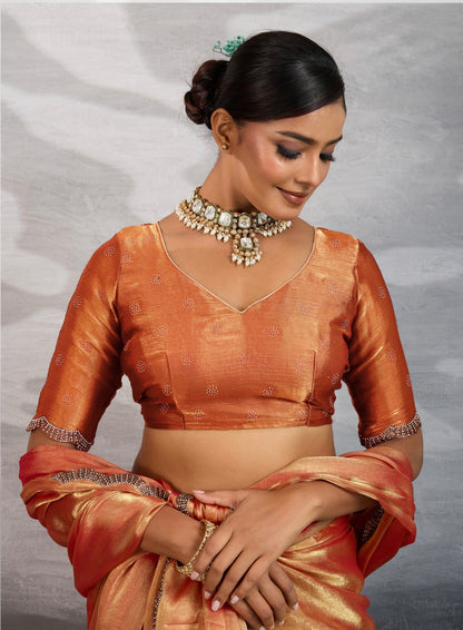 Burberry Chiffon Saree with Zarkan and Cutdana Appliqué Lace Work – Designer Party Wear Saree for Women