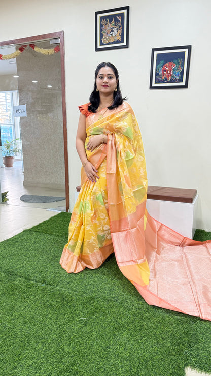 Banarasi Alfi Rangkat Silk Saree with Multicolor Gradient and Intricate Zari Weaving – Wedding Wear