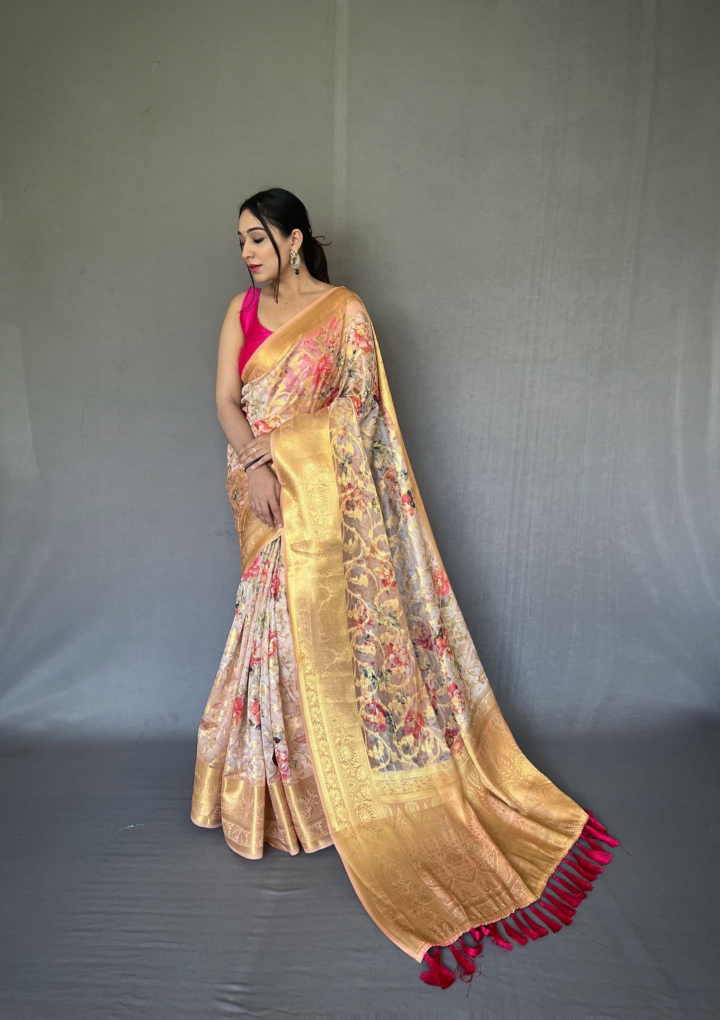 Organza Saree with Zari Weaving Border, Anokhi Jaal Design and Digital Print – Festive Wear for Women