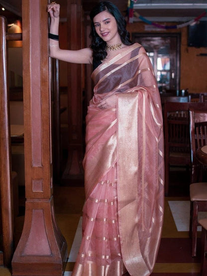 Kanchipuram Organza Jacquard Full Worked Saree with Raw Silk Organza Running Blouse