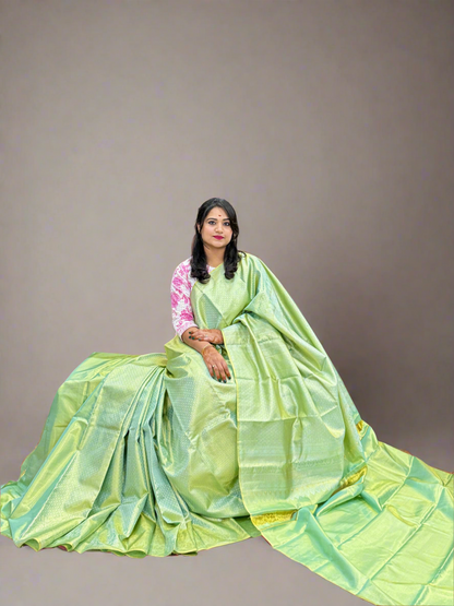 Handloom Borderless Pure Silk Saree in Sea Green with Zari Weaving – Elegant Bridal Saree