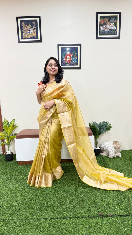 Banarasi tissue saree with barabar border and rich weaving design for festive and wedding wear
