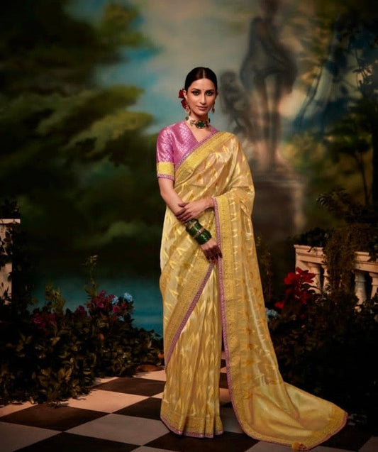 brasso saree with embroidered blouse – festive ethnic wear for women