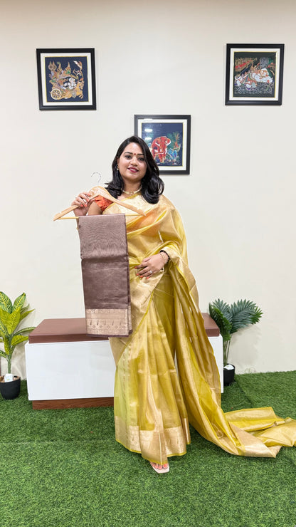 Banarasi tissue saree with barabar border and rich weaving design for festive and wedding wear