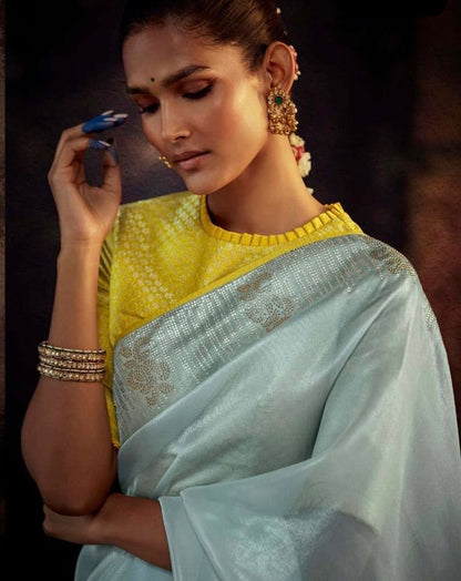 Organza Tissue Silk Saree with Embroidery or Swarovski Work and Heavy Designer Blouse – Wedding and Festive Wear for Women