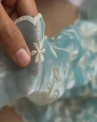 Soft Embroidery Work Saree with Chikankari Detailing and Blouse for Wome