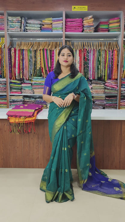 Maheshwari Silk Cotton Saree with Mango Butta Motifs & Gold Zari Border